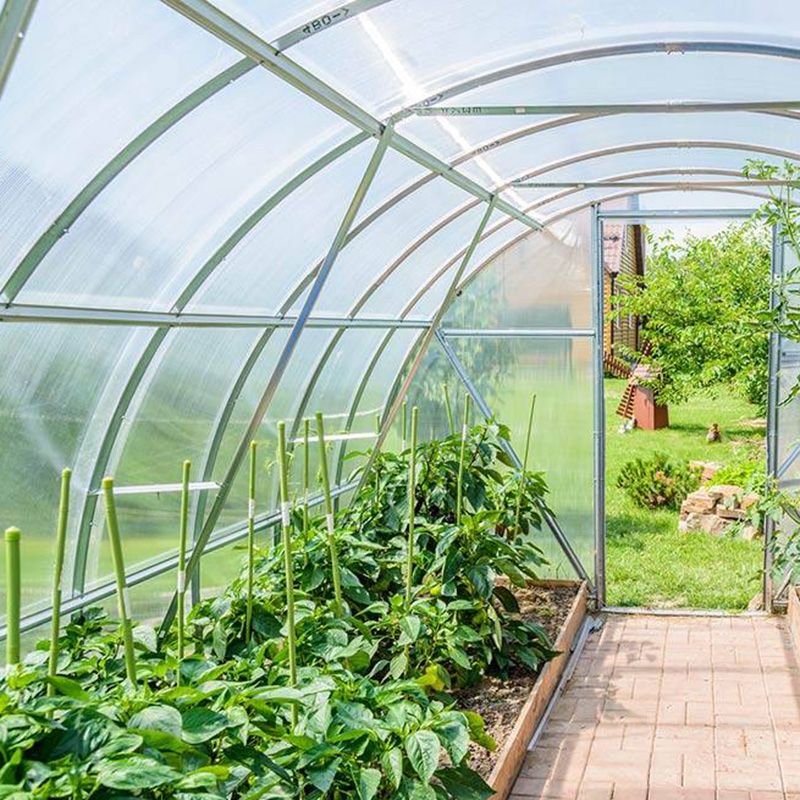 グリーンハウス 液晶テレビ保護フィルム 46V型用