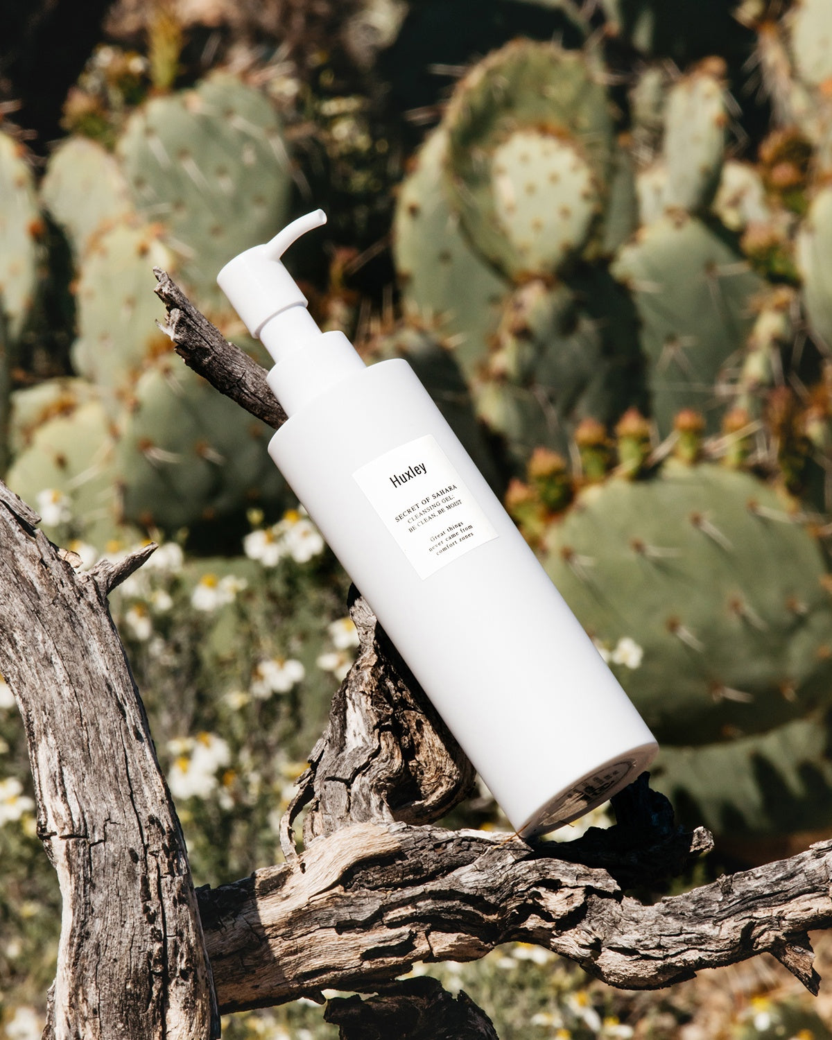 ハクスリー シークレット オブ サハラ クレンジング ジェル ビー クリーン ビー モイスト - 3